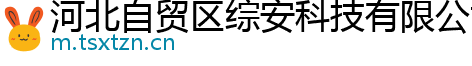 河北自贸区综安科技有限公司